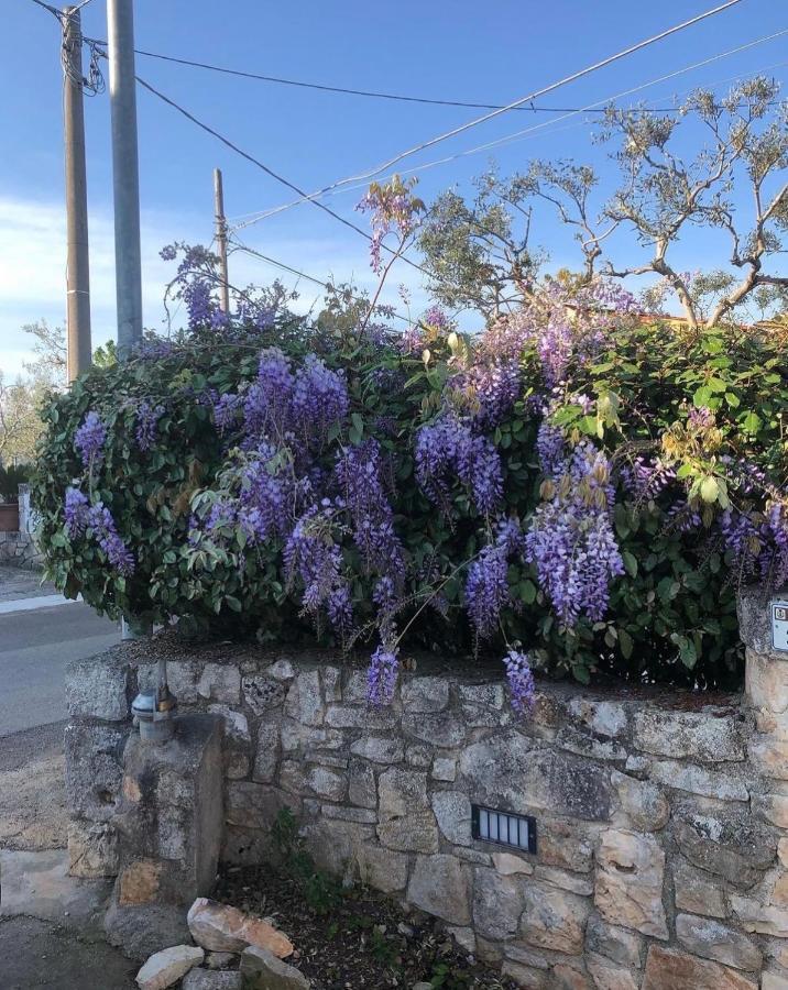 Trulli Nonna Graziella Villa Locorotondo Eksteriør billede